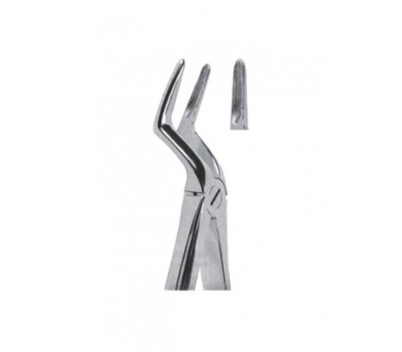 Extracting Forceps